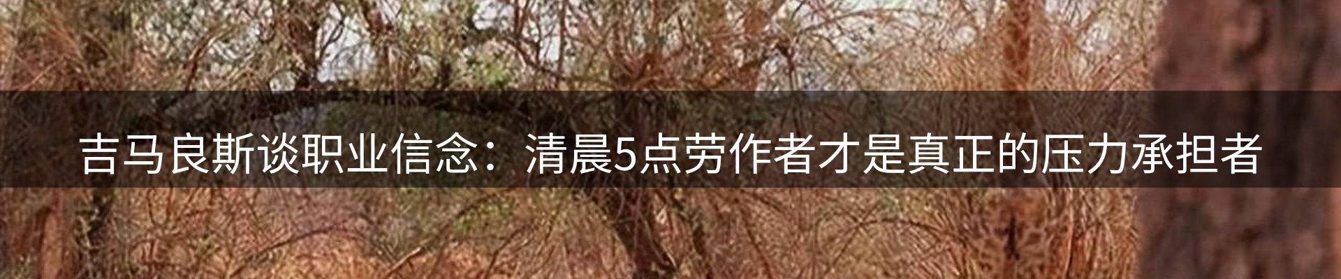 内页banner
